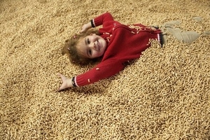 Пеллеты (топливные гранулы) класса А1 грн.318