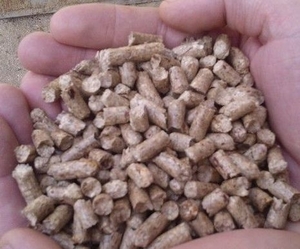 Топливные пеллеты сосна грн.3000