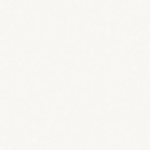 ДСП ламинированное в деталях Egger Белый базовый SМ W 908 грн.250