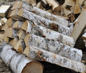 Купим дрова березовые естественной влажности грн.0