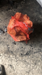 Дрова яблони колотые в сетках грн.30