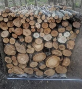 Купим дрова яблони, метровки грн.0