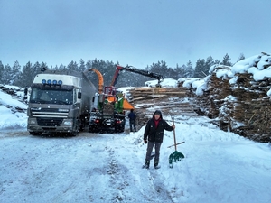 Діючий бізнес з виробництва щепи грн.200000