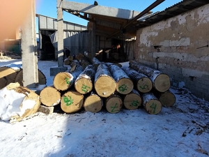 Продаем дуб кругляк грн.4500