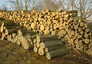 Дрова твердых пород грн.650