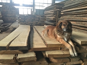 Пиломатериалы Николаев в наличии грн.255