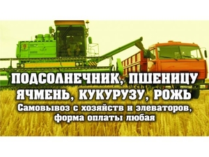 Малоценные отходы семечки грн.0