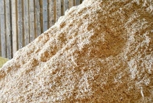 Закупаем тырсу большими объемами грн.0