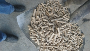 Пеллеты из мискантуса грн.3200