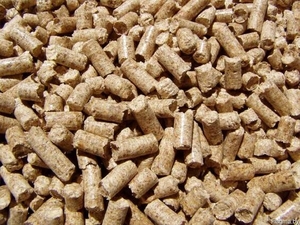 Топливная гранула грн.110