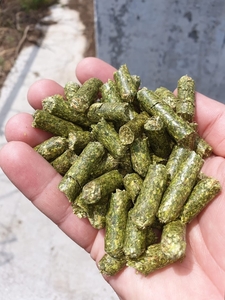 Гранулы люцерны грн.5900