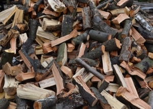 Продам дрова камерной сушки, порода дуб, ясень грн.0