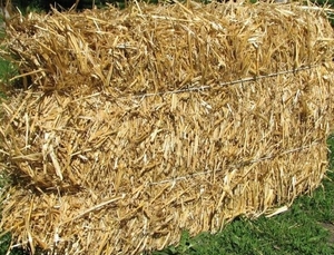 В наявності великі обсяги соломи грн.0