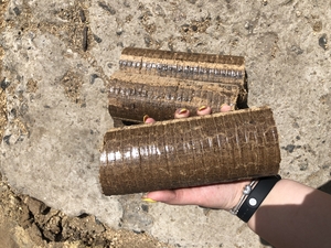 Брикети Nestro з дуба грн.2200