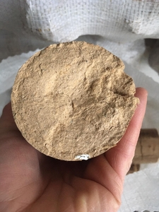 Брикет древесный, нестро, диаметр 70мм грн.2600