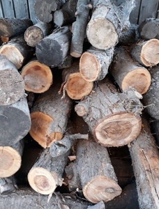 В наличии дрова фруковых пород грн.