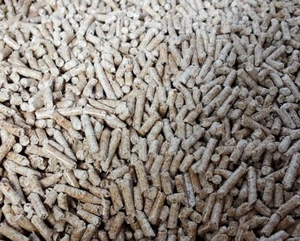 Запрос: древесные пеллеты для Австрии ##f_price|CURR_SIGN##