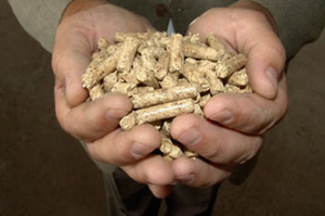 Последние известия с рынка древесных пеллет ##f_price|CURR_SIGN##