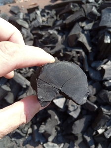 Древне вугілля з граба (Charcoal) продам