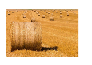 Продам солому тюковану грн.