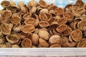 Скупаем скорлупу грецкого ореха и фундука (Сухую) грн.