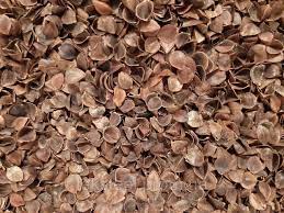 Шелуха (лузга) гречана грн.0