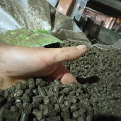 Продам пелеты подсолнечника грн.1