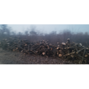 Пропонуємо дрова яблуні, FCA Васильків, Київська область грн.