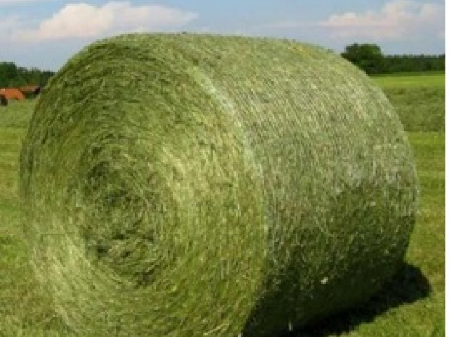 Можем предложить поставку сена люцерны грн.0