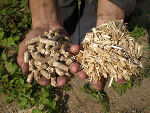 Ценовые проблемы на рынке древесных пеллет ##f_price|CURR_SIGN##