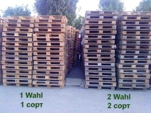 Продам поддоны новые и б/у грн.0