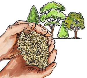 Политика стран Евросоюза в сфере биоэнергетики и производства пеллет ##f_price|CURR_SIGN##