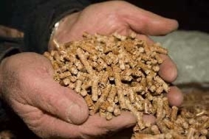 Рынки древесных пеллет в Европе в каждой стране разные ##f_price|CURR_SIGN##