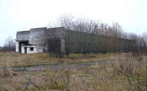 Производственный комплекс по выпуску древесных топливных гранул грн.0