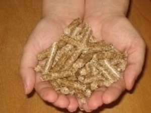 Продам древестные гранулы (пеллетс) 8 мм грн.115