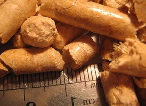 Рынок пеллет в Италии набирает темпы ##f_price|CURR_SIGN##