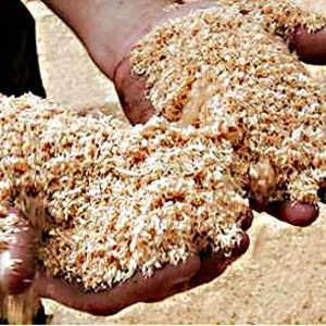 Рынок энергии биомассы в Словакии ##f_price|CURR_SIGN##