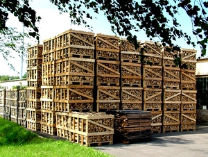 Predprijatie iz Latvij pokupaet drova грн.0