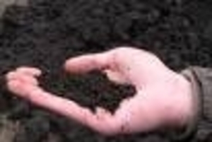 Предлагаем торф низинный в мешках грн.0