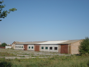 Продам производственную базу для переработки древесины грн.0