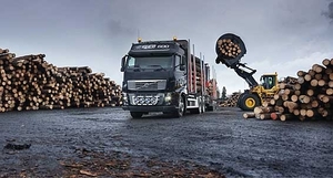 Постоянно покупаем техсырье хвойной и мягколистенной породы грн.0