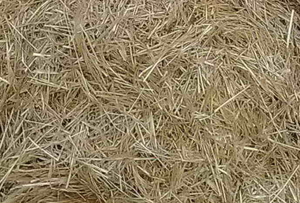 Продам просяную солому тюкованую грн.0