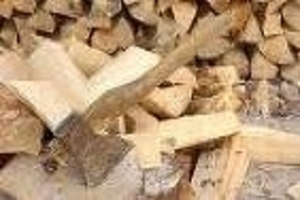 Продам дрова фруктовых деревьев для приготовления шашлыка грн.0