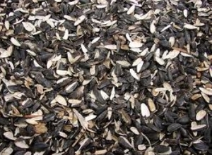 Готовы приобретать большие обьёмы шелухи подсолнечника грн.0