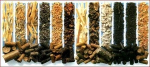 КУПЛЮ БРИКЕТЫ ИЗ СОЛОМЫ И ПОЧАТКОВ КУКУРУЗЫ грн.0