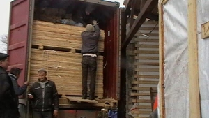 Приобретем на экспорт сухую  доска сосна/ель  постоянно грн.0