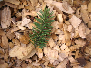 Щепа ольховая для копчения грн.0