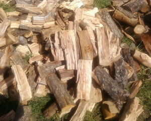 Дрова колотые из яблони грн.250