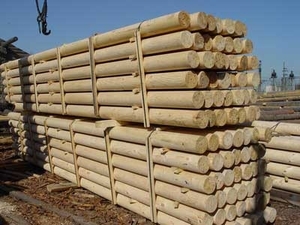 Предлагаем оцилиндрованное бревно различного диаметра грн.0