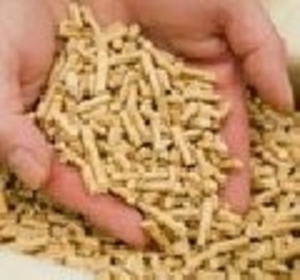 Новое предприятие в Харьковской области производит древесные топливные гранулы грн.83